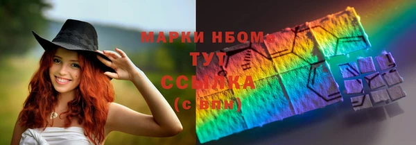 ГАЛЛЮЦИНОГЕННЫЕ ГРИБЫ Бородино