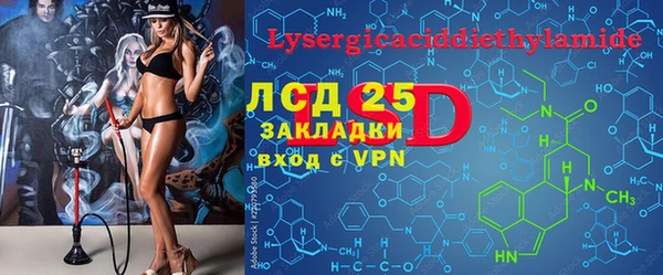 ГАЛЛЮЦИНОГЕННЫЕ ГРИБЫ Бородино