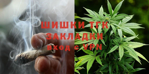 ГАЛЛЮЦИНОГЕННЫЕ ГРИБЫ Бородино