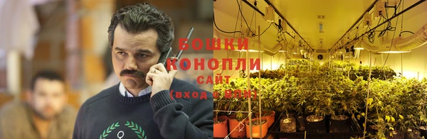 дурь Бугульма