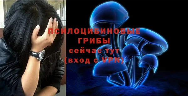 дурь Бугульма