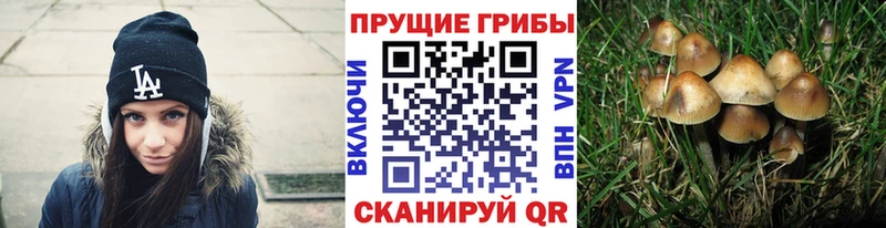 Псилоцибиновые грибы прущие грибы  Раменское 