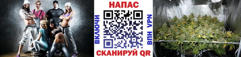 Каннабис семена  купить наркотик  Раменское 